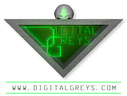Digital Greys Website Design and Programming